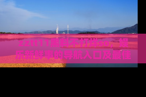zztt11黑料不打烊so，娱乐新鲜事的导航入口及最佳浏览线路推荐