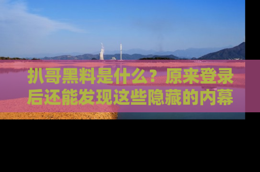扒哥黑料是什么？原来登录后还能发现这些隐藏的内幕！