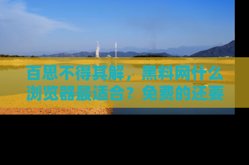 百思不得其解，黑料网什么浏览器最适合？免费的还要能吃瓜太难了！