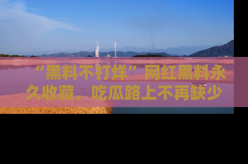“黑料不打烊”网红黑料永久收藏，吃瓜路上不再缺少惊喜与乐趣
