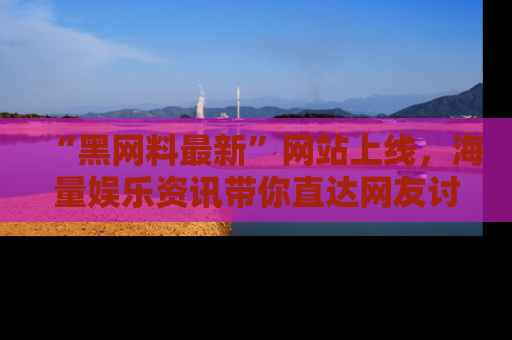 “黑网料最新”网站上线，海量娱乐资讯带你直达网友讨论的中心！