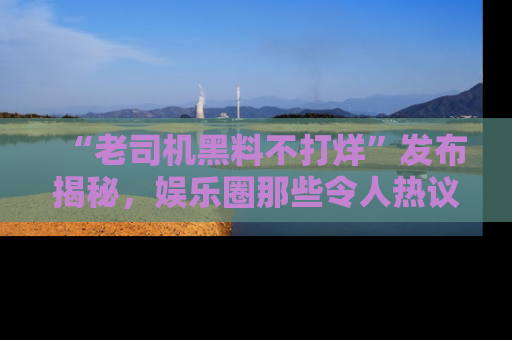 “老司机黑料不打烊”发布揭秘，娱乐圈那些令人热议的黑暗秘密！