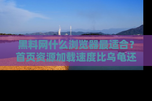 黑料网什么浏览器最适合？首页资源加载速度比乌龟还慢的体验真心吐槽！