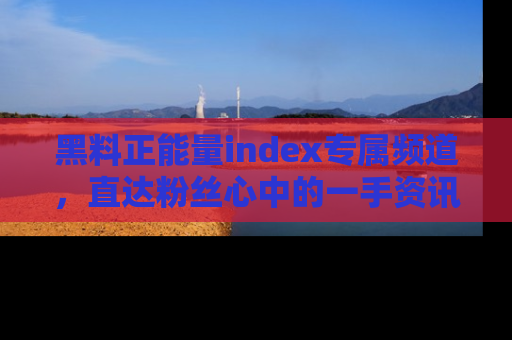 黑料正能量index专属频道，直达粉丝心中的一手资讯！