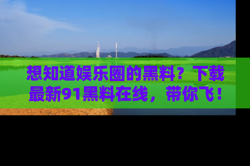 想知道娱乐圈的黑料？下载最新91黑料在线，带你飞！