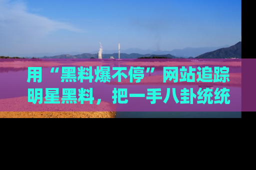 用“黑料爆不停”网站追踪明星黑料,把一手八卦统统收进你的后宫中!