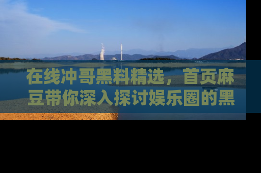 在线冲哥黑料精选,首页麻豆带你深入探讨娱乐圈的黑暗面
