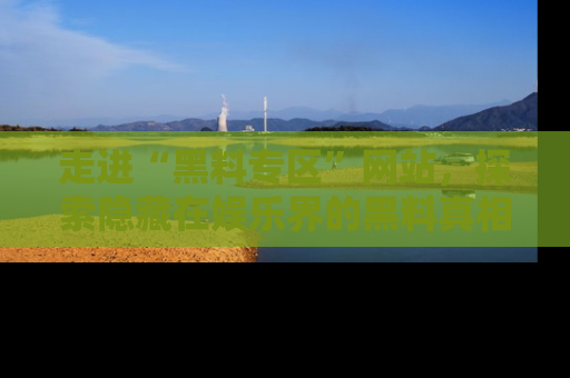 走进“黑料专区”网站,探索隐藏在娱乐界的黑料真相