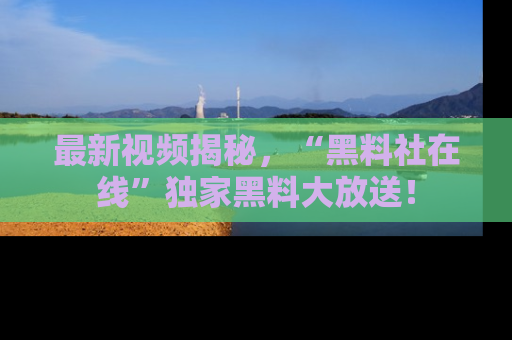 最新视频揭秘,“黑料社在线”独家黑料大放送!
